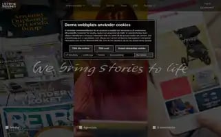Storyhouseegmont.se Screenshot 2024-07-02 13:59:30