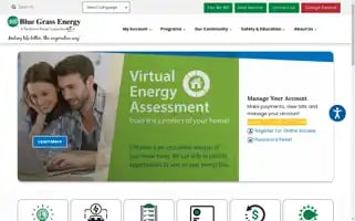 Bgenergy.com Screenshot 2024-05-08 18:44:09