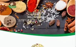 Malagasyspices.com Screenshot 2024-04-27 10:09:56