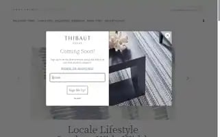 Thibautdesign.com Screenshot 2024-05-14 11:51:33