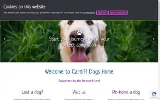 Cardiffdogshome.co.uk Screenshot 2024-06-30 06:44:14