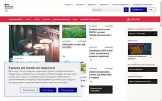 Irsn.fr Screenshot 2024-06-30 03:00:22