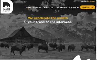 Seejhdigital.com Screenshot 2024-07-02 00:00:24