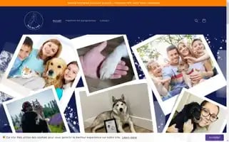 Mainlyne.com Screenshot 2024-04-27 06:49:41