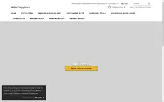 Hellocapybara.com Screenshot 2024-05-02 03:31:41