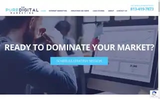 Puredigitalmarketing.com Screenshot 2024-06-13 23:08:23