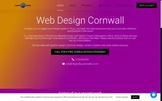 Digitalburstmedia.com Screenshot 2024-06-30 19:54:13