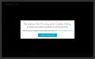 Penzancegin.co.uk Screenshot 2024-06-12 14:38:32