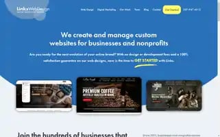 Linkswebdesign.com Screenshot 2024-06-13 04:01:55
