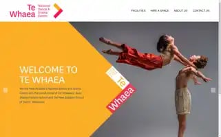 Tewhaea.org.nz Screenshot 2024-07-05 00:58:12