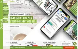 Delisoft.ca Screenshot 2024-06-29 21:54:21