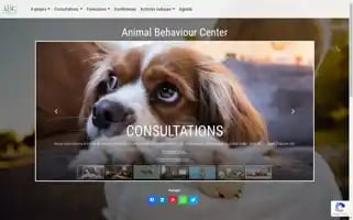 Animalbehaviour.be Screenshot 2024-06-25 22:36:43