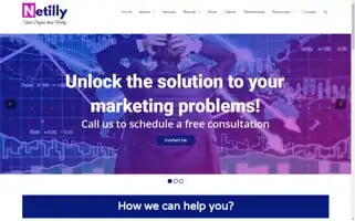 Netilly.com Screenshot 2024-06-29 00:06:28