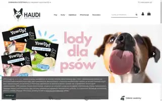 Haudi.pl Screenshot 2024-07-04 21:17:48