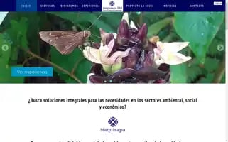 Maquisapa.com Screenshot 2024-06-28 14:44:38