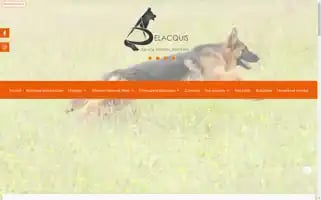 Elevage-pension-canine-combe-delacquis.com Screenshot 2024-05-15 21:05:31