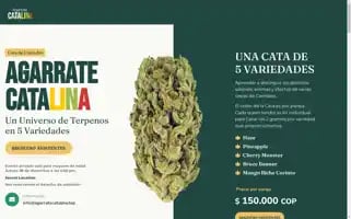 Agarratecatalina.top Screenshot 2024-05-29 06:10:06