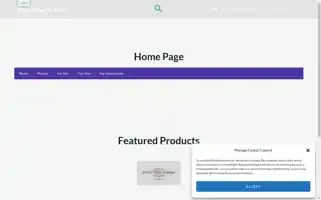 Stylevibesnmore.com Screenshot 2024-05-27 19:12:19