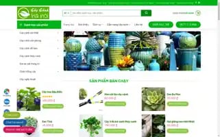 Caycanhhanoi.com Screenshot 2024-06-30 09:48:19