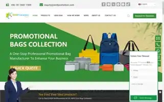 Wellpromotion.com Screenshot 2024-05-15 01:23:45