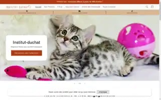 Institut-duchat.com Screenshot 2024-05-03 19:51:43