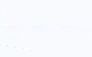 Emekpazari.com Screenshot 2024-07-08 10:34:57