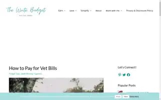 Writebudget.com Screenshot 2024-05-15 06:01:16