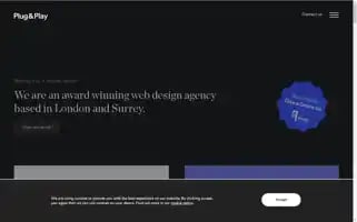 Plugandplaydesign.co.uk Screenshot 2024-06-29 03:09:01
