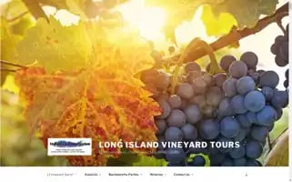 Livineyardtours.com Screenshot 2024-04-17 10:31:42