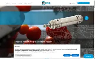 Cypag.com Screenshot 2024-06-12 01:33:41