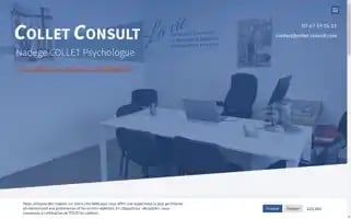 Collet-consult.com Screenshot 2024-06-16 23:47:18
