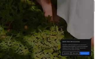 Mediawebmarketing.net Screenshot 2024-06-18 13:35:43