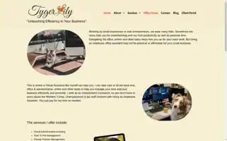 Tygerlily.com Screenshot 2024-07-09 04:43:18