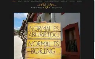 Northernplainstravel.com Screenshot 2024-04-18 09:39:50