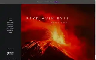 Reykjavikeyes.com Screenshot 2024-06-12 11:53:00