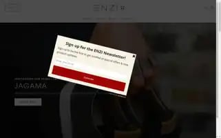 Enzi.com Screenshot 2024-05-04 23:26:02