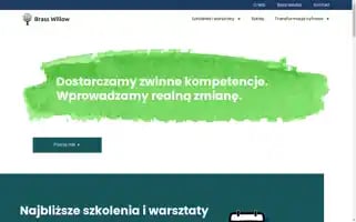 Brasswillow.pl Screenshot 2024-06-11 08:49:41