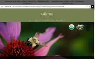 Lightofdayorganics.com Screenshot 2024-05-05 23:18:56
