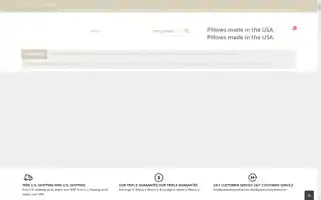 Queenannepillow.com Screenshot 2024-05-05 10:44:28