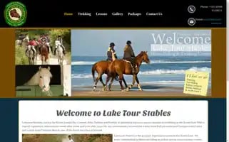 Laketourstables.ie Screenshot 2024-04-22 18:47:37