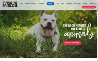 Twobytworescue.com Screenshot 2024-06-11 22:34:12