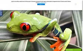 Hightravel.net Screenshot 2024-04-24 04:29:10