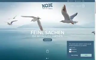 Koje-store.de Screenshot 2024-05-20 17:16:19