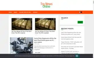 Toynews-online.biz Screenshot 2024-05-14 14:28:14