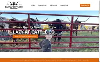 Lazyafcattle.com Screenshot 2024-05-29 04:40:58
