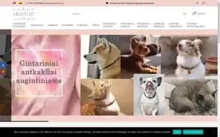 Amberwithlove.lt Screenshot 2024-05-22 09:16:48