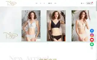 Dsyypromise.shop Screenshot 2024-05-28 08:13:12