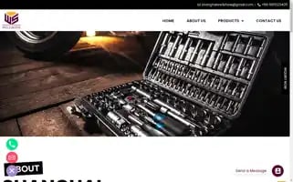 Wellshinetrade.com Screenshot 2024-05-28 16:05:11