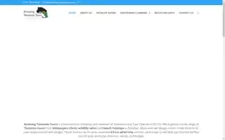 Amazingtanzaniatours.com Screenshot 2024-04-25 05:28:40