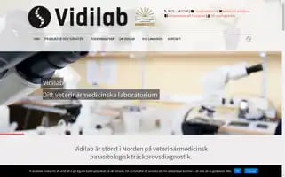 Vidilab.se Screenshot 2024-07-04 11:29:04